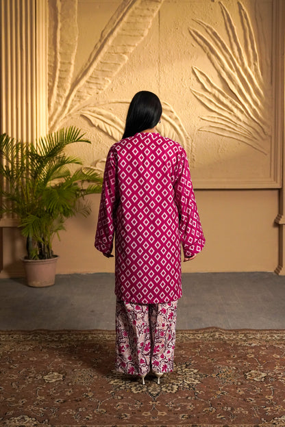 Rani Ikat Co-ord Set