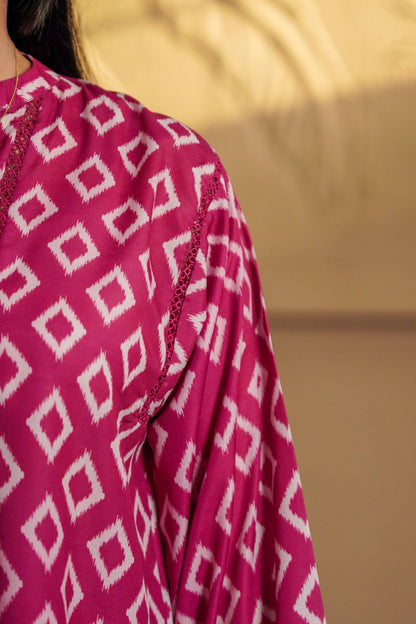 Rani Ikat Co-ord Set